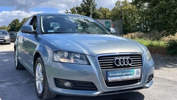 Audi A3 8P Hatchback 3d 1.6 TDI 105KM 2010 Audi A3 Raty tylko 150 tys km 5drzwiowy Sportback serwis Import Gwarancja, zdjęcie 7