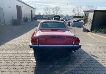 Jaguar 1995 Jaguar XJS Jaguar XJS v12 Benzyna, zdjęcie 6