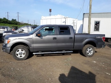 Ford F150 09-14 dach dluga kabina 2009-2014 USA