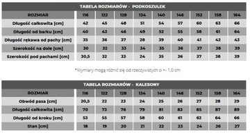 BIELIZNA TERMOAKTYWNA TERMICZNA DZIECIĘCA OCIEPLANA KOMPLET 164 DAWI