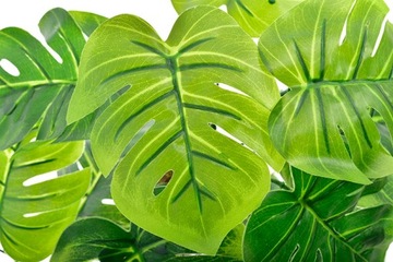 МОНСТЕРА РОДОДЕНДРОН ИСКУССТВЕННЫЕ ЦВЕТЫ ЦВЕТОЧНЫЙ ГОРШОК КОМПОЗИЦИЯ ЛИСТЬЯ ПОДАРОК