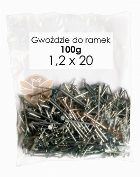 GWOŹDZIE do RAMEK pszczelarskich 1,2x20 - 100g