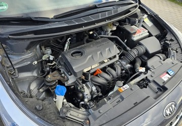 Kia Ceed II Hatchback 5d Facelifting 1.4 DOHC 100KM 2017 Kia Ceed 1,4 Benzyna 101 KM GWARANCJA Zamiana Zarejestrowany 1.4 Benzyna, zdjęcie 15