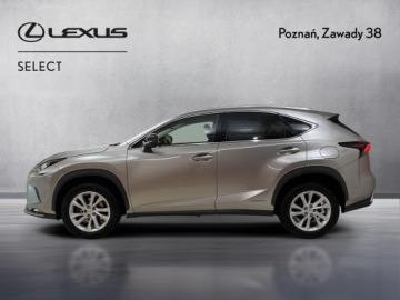 Lexus NX I SUV Facelifting 300h 197KM 2021 Lexus NX 300h F Impression AWD I (2014-2021) 300h, zdjęcie 6