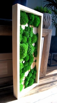 Картина продолговатой формы, рамка, подушка из мха, дерево, 25/60см.