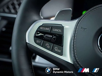 BMW X6 G06 SUV Facelifting 3.0 30d 298KM 2025 BMW X6 xDrive30d 298 KM mHEV - Kamera 360 - Hak Holowniczy - HarmanKardon, zdjęcie 27