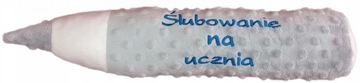 PODUSZKA kredka prezent ŚLUBOWANIE NAUCZYCIEL haft