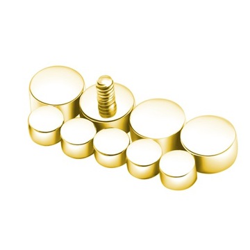 ЗОЛОТАЯ СЕРЬГА LABRET HELIX TITANIUM EAR 1.2/8