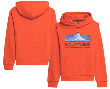 СВИТШОТ С КАПЮШОНОМ 4F ДЛЯ МАЛЬЧИКОВ AW23M634