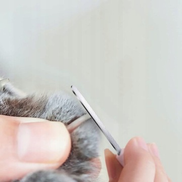 Светодиодные щипчики для ногтей для собак и кошек с напильником