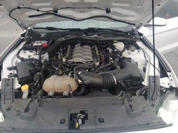 Ford Mustang VI 2019 Ford Mustang GT 2019 5.0l 5.0 Benzyna 460KM, zdjęcie 6