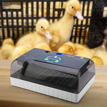 ИНКУБАТОР ВЫМЯТНИК ДЛЯ ПТИЦЫ 12J