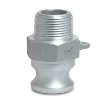 Camlock 1.1/4 x GZ , wtyk stal nierdzewna F125