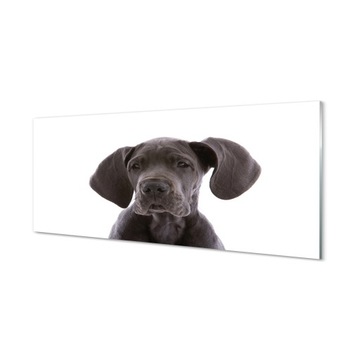 Ścienny panel kuchenny + klej Brązowy pies 125x50