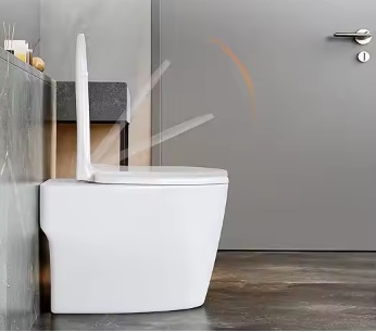 DESKA WC SEDESOWA WOLNOOPADAJĄCA TWARDA WYPINANA KLOZETOWA UNIWERSALNA