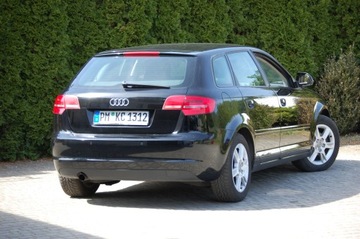 Audi A3 8P Hatchback 3d 1.6 102KM 2010 Audi A3 Lift Automat 5drzwi1.6MPI Klimatronic Alu Lato+Zima, zdjęcie 14