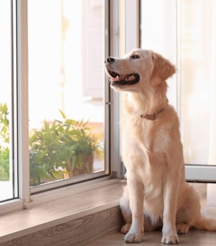 МОСКВНАЯ СЕТКА АЛЮМИНИЕВАЯ РАМКА – ИЗГОТОВЛЕНИЕ НА ЗАМЕР – ЦВЕТА