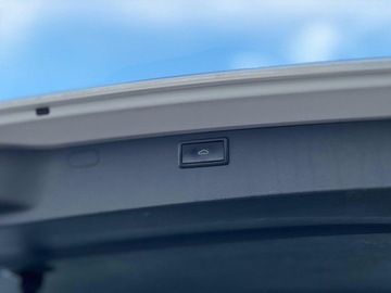 Volkswagen Caravelle T6 2020 Volkswagen Multivan 3.400 Salon PL 4 Motion Hak 7os Kamera ASO DSG, zdjęcie 24