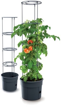 НАБОР ДЛЯ ВЫРАЩИВАНИЯ ПОМИДОРОВ, цветочный горшок Prosperplast