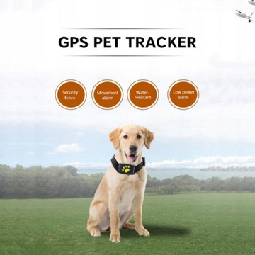 Psy koty nadajnik GPS nadajnik GPS dla zwierząt