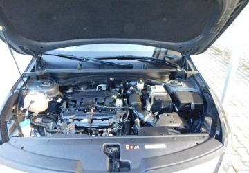 Kia Sportage V SUV 1.6 T-GDI 150KM 2022 Kia Sportage Gwarancja Bezwypadkowy 100 Model 2023r 1.6 Benzyna 150KM, zdjęcie 20