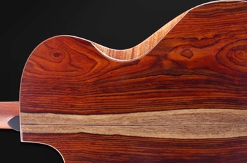 Furch Red Deluxe Gc-LC LR Baggs SPA + ЧЕХОЛ