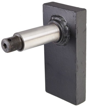 Płyta ze sworzniem DV 1733