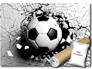 FOTOTAPETA FLIZELINA PIŁKA NOŻNA FOOTBALL 368x254