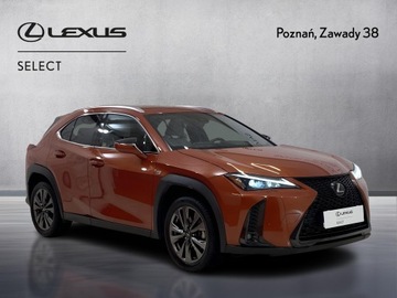Lexus UX Crossover Facelifting 2.0 250h 184KM 2023 Lexus UX 250h GPF F Sport Design 2WD Lexus UX 250h, zdjęcie 7