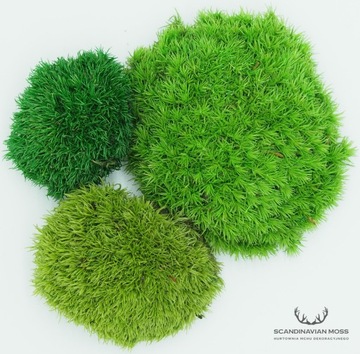 Стабилизированная подушка Moss Green Natural 200г 0,2кг НЕТТО