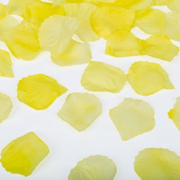 Płatki Róż kremowe/ 180 sztuk