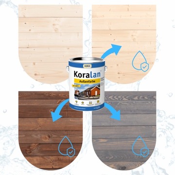 Овощная коробка передач подняла травяное растительное растительное стекло 160x120