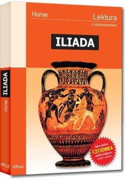 Książka Iliada - Homer
