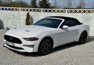 Ford Mustang VI 2021 Ford Mustang Ford Mustang Cabrio 2.3 Eco Boost 2.3 Benzyna 317KM, zdjęcie 22