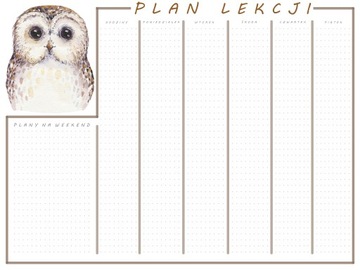 Plan lekcji NAKLEJKA zmazywalny sowa A4+GRATIS