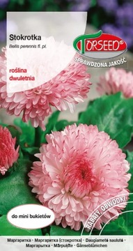 Stokrotka wielkokwiatowa różowa 0,3g nasiona Torseed
