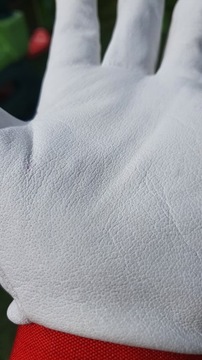 ПЕРЧАТКИ ПРОФЕССИОНАЛЬНЫЕ РАБОЧИЕ ПЕРЧАТКИ ИЗ КОЗЬЕЙ КОЖИ VELCRO10