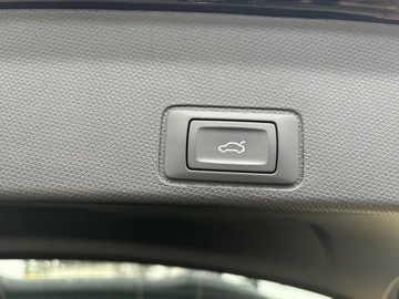 Cupra Terramar 2025 Cupra Terramar 2.0 TSI 204 KM 7-biegowa automatycz, zdjęcie 16