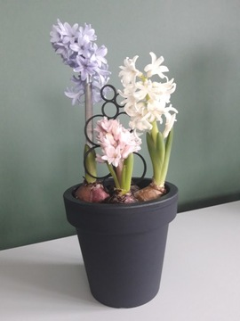 ПОДСТАВКА ДЛЯ ЦВЕТОВ, ЛЕСТНИЦА ДЛЯ РАСТЕНИЙ, ПЕРГОЛА