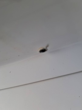 JUMPY EXPERT PROACE DVEŘE PRAVÝ ZADNÍ PRAVÉ