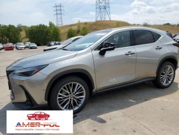 Lexus NX II 2024 Lexus NX 2024 LEXUS NX 350H BASE 2.5 Hybryda 240KM