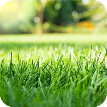 Удобрение Фруктовит для газонной травы 25 кг