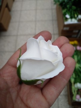 БЕЛЫЕ мыльные розы 50 шт.