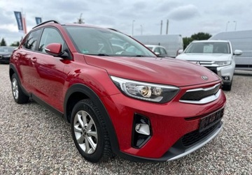Kia Stonic Crossover 1.2 MPI 85KM 2019