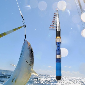 Wędka teleskopowa Wędkarstwo podróżne 2.1