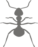 Отражатели, ЖЕЛЕЗНЫЕ НАШИВКИ, Черви, Веселая нашивка