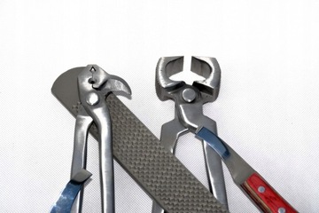 Профессиональный коррекционный комплект копыта