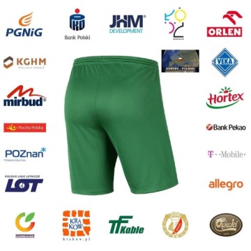 NIKE ШОРТЫ ПАРК Dry-Fit р. S