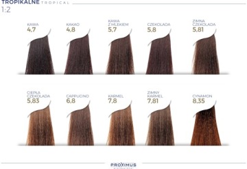 Proximus Supreme Color Нанотехнологическая краска 3