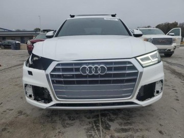 Audi Q5 II 2020 Audi Q5 2020r., Premium Plus, od ubezpieczalni 2.0 Benzyna 248KM, zdjęcie 1